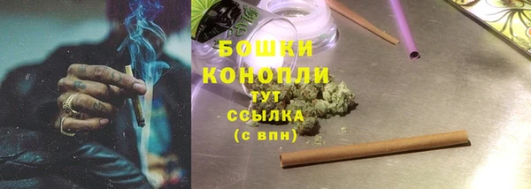 прущие грибы Осинники