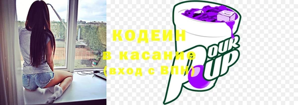 прущая мука Кирсанов