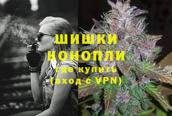 прущие грибы Осинники