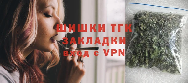 прущие грибы Осинники